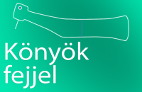 KaVo könyökdarabok fejjel - Kék vagy zöld gyűrű pl: E20L, E15L, 2068LHC stb... KaVo könyökdarabok fejjel - Kék vagy zöld gyűrű pl: E20L, E15L, 2068LHC stb...