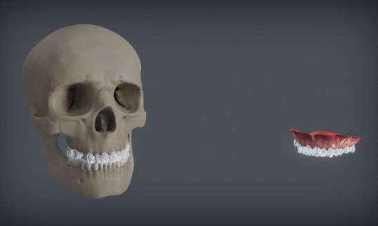Dexis OP 3D™ LX 10x10 FOV Dexis OP 3D™ LX 10x10 FOV